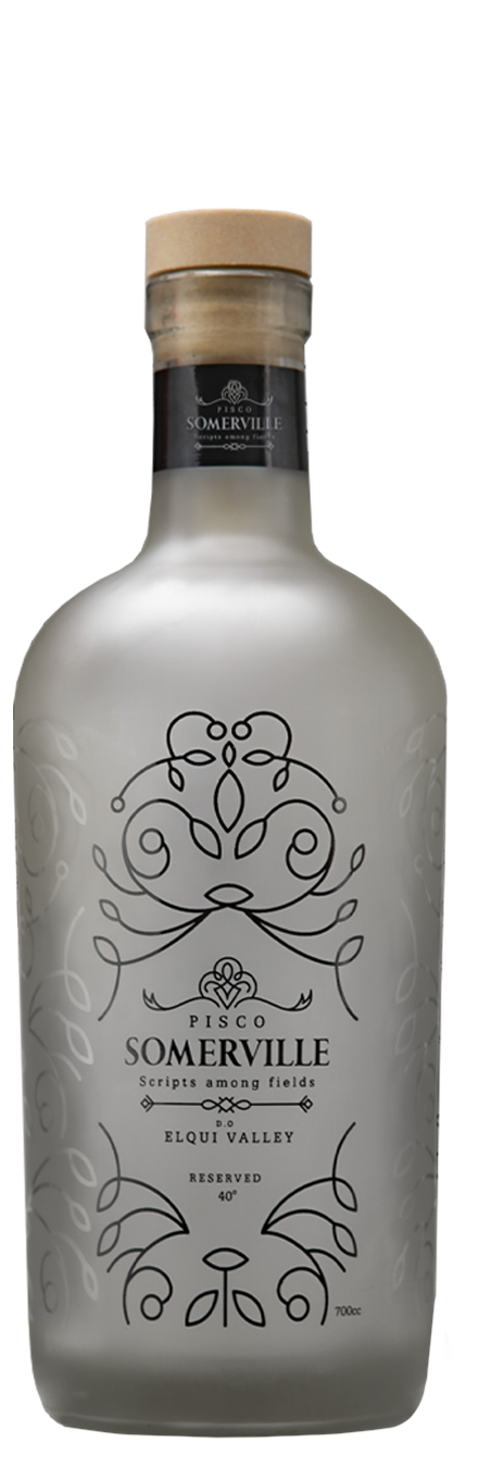Botella Pisco Somerville